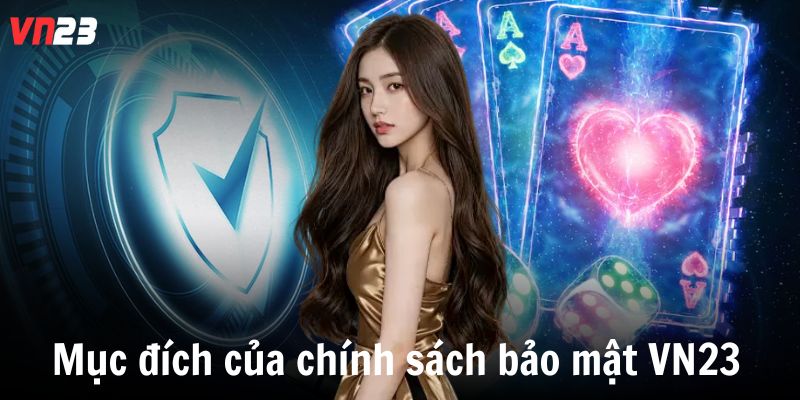 Mục đích của chính sách bảo mật VN23